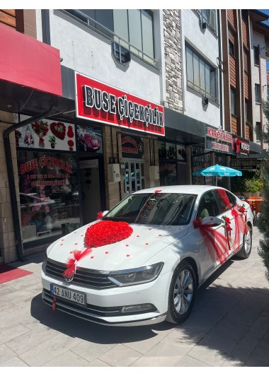 Gelin Arabası 1
